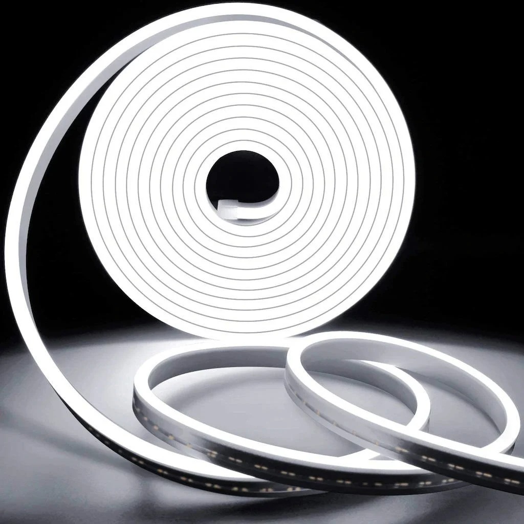NEON LED 1